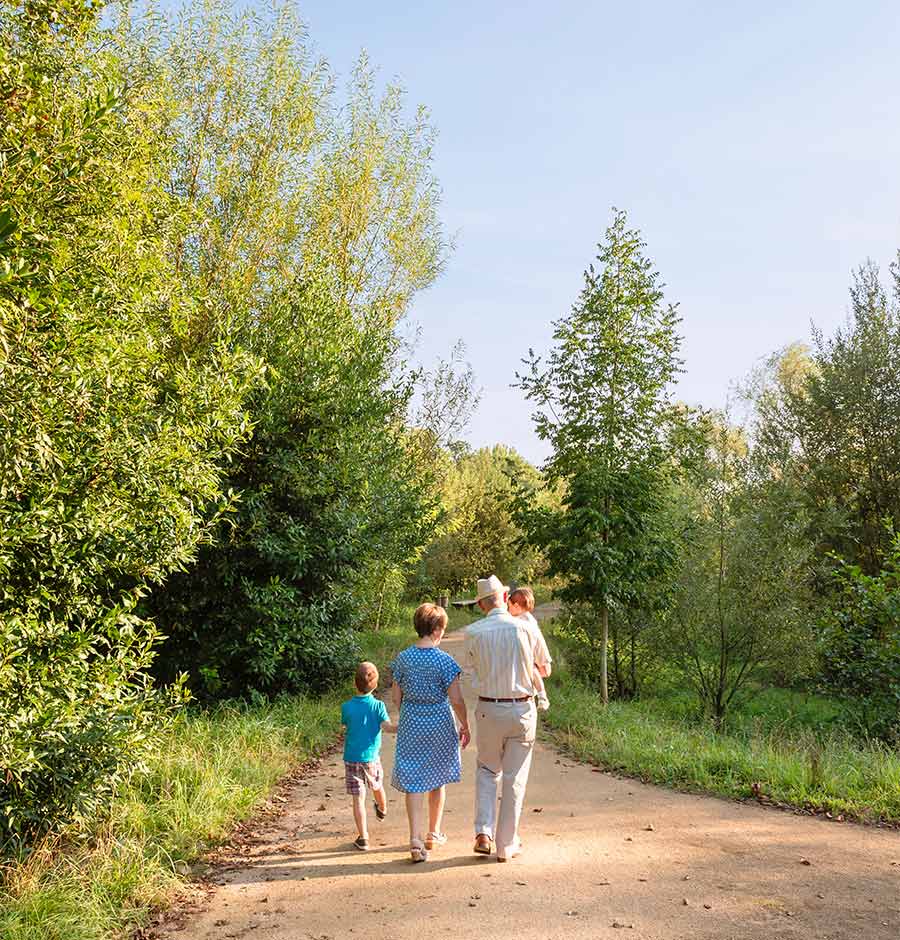 rear view of grandparents walking down path with their grandkids simple retirement options